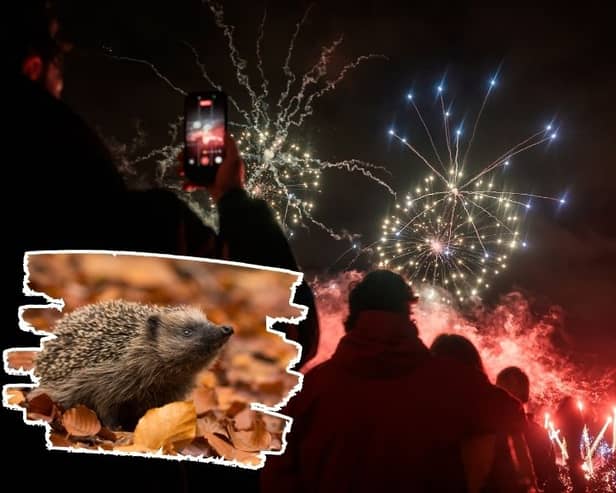 At-home bonfires can accidentally kill hedgehogs, while noisy fireworks displays can disturb birds