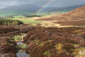 The Glenlivet dams