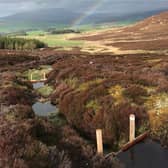 The Glenlivet dams