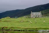 Many island farmers have found their applications for money from a new fund were rejected for no clear reason (Picture: Tim Graham)