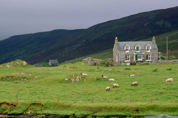 Many island farmers have found their applications for money from a new fund were rejected for no clear reason (Picture: Tim Graham)