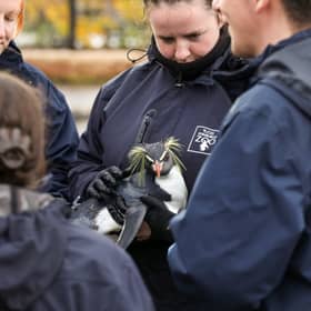 Over 150 penguins have received their annual vaccinations at Edinburgh Zoo.