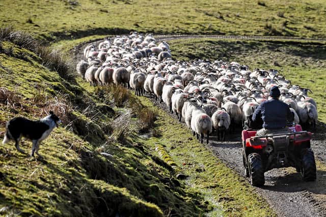 Nearly three quarters of rural residents believe politicians do not understand the needs of Scotland's countryside