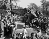 Sally the elephant gives children rides at Edinburgh Zoo during the spring break in 1955.