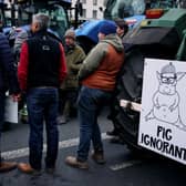 Farmers make a point about Labour's changes to farming inheritance tax rules with caricature of Keir Starmer during a protest in London (Picture: Benjamin Cremel)