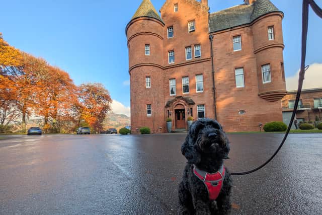 Archie at Fonab Castle, Pitlochry