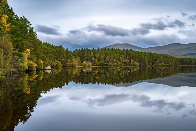 Loch Garten Nature Reserve in the Cairngorms