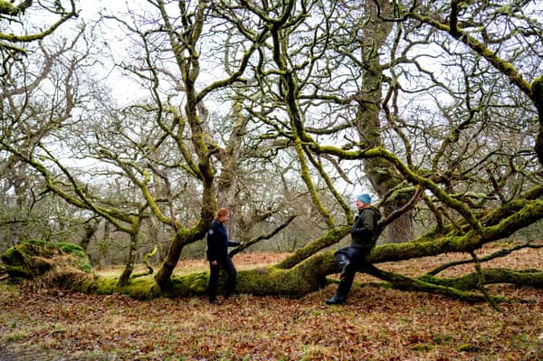 Ranger Bronwen Thomas and Senior Nature Conservation Officer Alan Crawford with an example of the ancient, veteran, and notable trees on the Drum Estate.