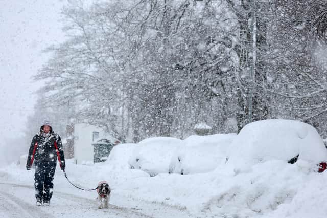 A dogwalker in heavy snow in Lumsden, Aberdeenshire, on Tuesday