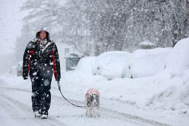 A snowy dog walk in Lumsden in Aberdeenshire on Tuesday