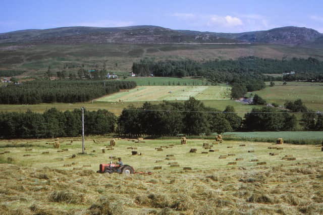 Digging for victory? In a throwback to the past, the UK needs to increase its production of food as an insurance policy against troubled times ahead (Picture: CM Dixon)
