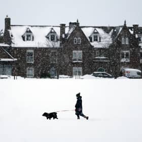 A member of the public walks their dog in the snow in Aboyne 