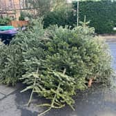 Old Christmas trees lie beside some bins. But they can go out in a blaze of glory, in one way or another