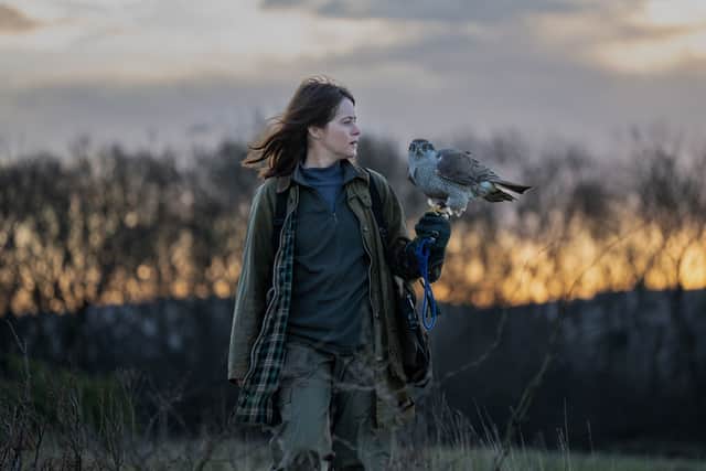 H is for Hawk