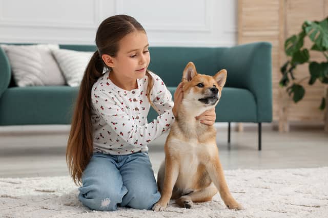 Dogs and children can be great pals.