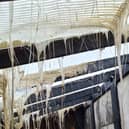 The charity's eco-polyhouse was set on fire 