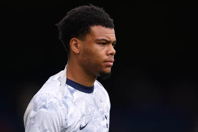 Spurs striker Dane Scarlett has joined on Hibs on loan.