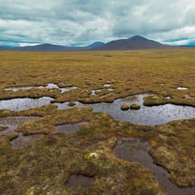 The Flow Country is the most intact and extensive blanket bog system in the world.