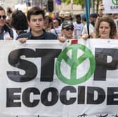 Ecocide could be outlawed in Scotland under Monica Lennon's plans