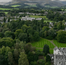 The site where some trees in a 200-year-old woodland could be felled to make way for flats 