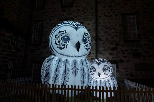 In front of Provost Skene's House are these two owls by Glow Art Creations.