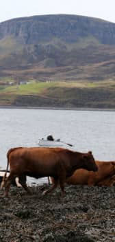 Scotland's small farmers and crofters just want to be listened to by those who walk the corridors of power (Picture: Andrew Milligan)