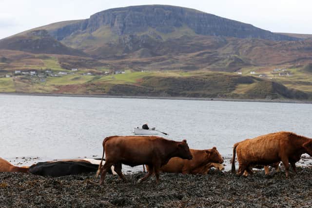 Scotland's small farmers and crofters just want to be listened to by those who walk the corridors of power (Picture: Andrew Milligan)