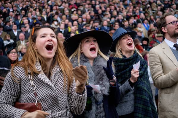A sports betting website is offering four people an all-expenses paid trip to watch the Cheltenham Festival from sunny Benidorm.
