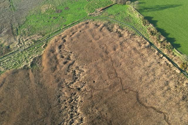 Drone image of a section of reedbed before restoration work started