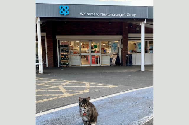 Mo was often spotted by residents lounging around the local Co-op