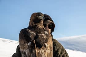 Falconers set to be able to take their golden eagles to Scotland's moorlands once again 