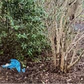 The dog's body was found wrapped in a blue fleece under a holly bush 