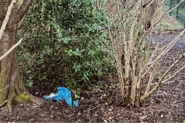 The dog's body was found wrapped in a blue fleece under a holly bush