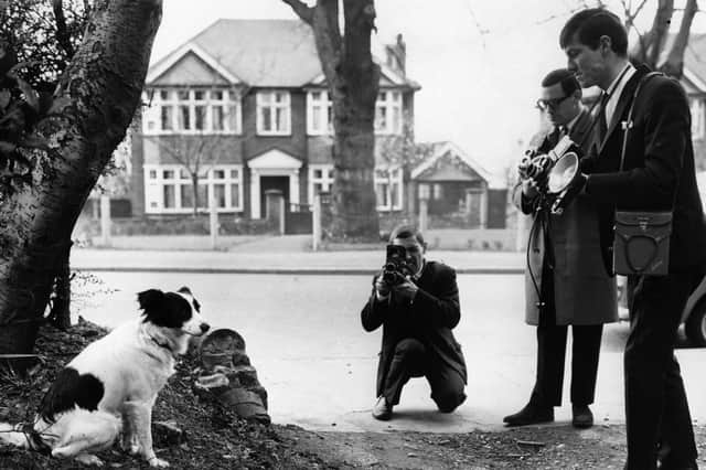 Pickles the dog shows photographers where he discovered the stolen World Cup in south London in March 1966 (Picture: Central Press)
