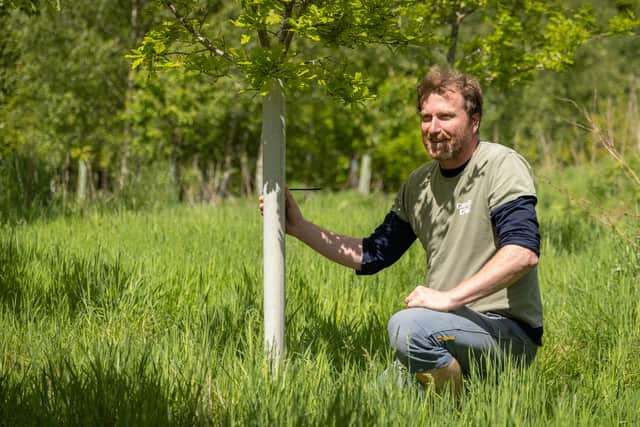 Comrie Croft director, Andrew Donaldson with a planted oak tree.