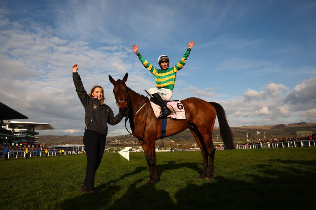 Cheltenham Gold Cup 2026 runners and riders: Full 11-Horses Guide ...