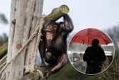 The charity which runs Edinburgh Zoo said “misleading” forecasts are costing it up to £40,000 a day.