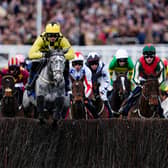Harry Cobden riding Kitzbuhel to win The Brown Advisory Novices' Chase during Ladies Day yesterday at Cheltenham.
