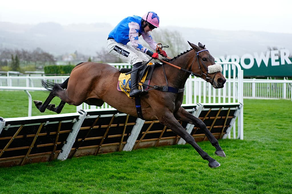 Fun Cheltenham Racing Game Thursday at Cheltenham 2026 in Pictures: Here are 15 amazing photos of ...
