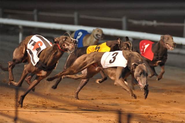Greyhound racing has now been banned in Scotland.