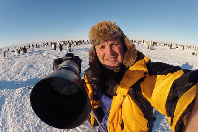 For more than 35 years, Doug Allan filmed magnificent polar bears in the Arctic.