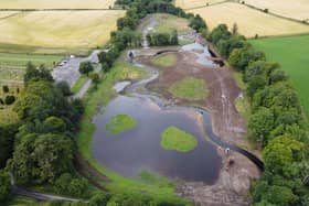 A river and nature restoration project aimed at improving biodiversity in and around the River Peffery is predicted to give Dingwall a £5 million economic boost.