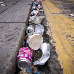 Extra rubbish collections are funded by the visitor levy.