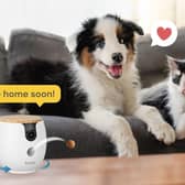 Furbo also makes cheaper, more compact cameras