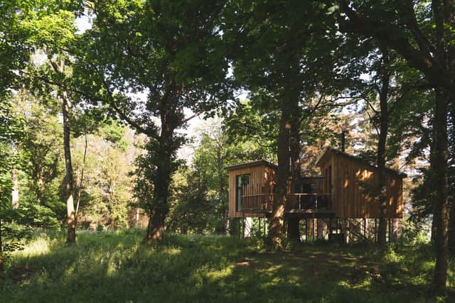 Goldfinch treehouse at The Treehouses by Leckie