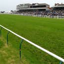 The Scottish Grand National will be returning to Ayr Racecourse this weekend.
