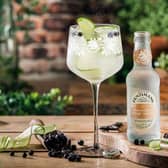 Credit: Fentimans