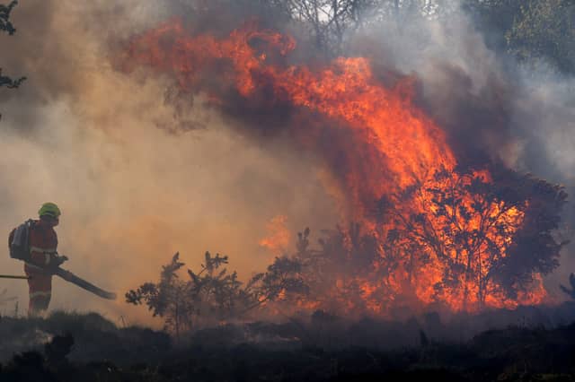 The Scottish Fire and Rescue Service (SFRS), in conjunction with the Scottish Wildfire Forum (SWF), has issued wildfire warnings for the central Highlands, southern and eastern Scotland.
