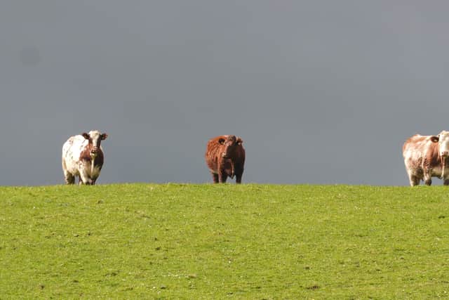 The parties differ on views for agriculture support payments
