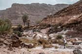 The Abu Sour valley in the Sinai Desert, subject of the opening chapter of The Savage Landscape